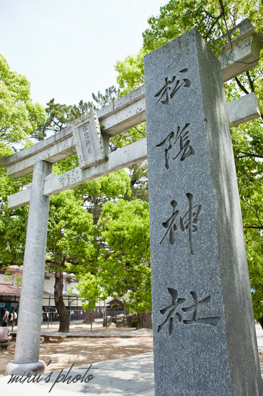c0037519_9194860.jpg