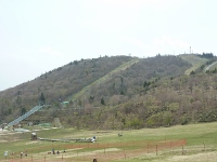 d0006323_15553232.jpg