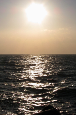 e0133025_20555176.jpg