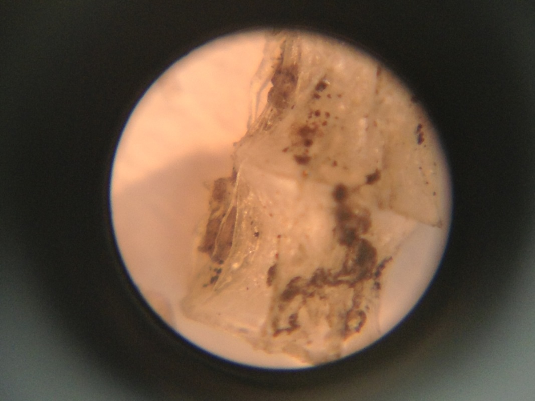 e0286326_9413290.jpg