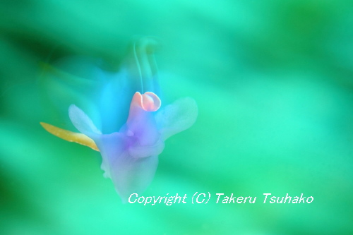 b0100730_20211455.png