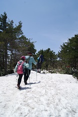 b0151533_235954100.jpg