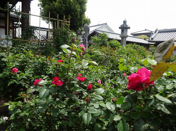 b0299042_22423599.jpg