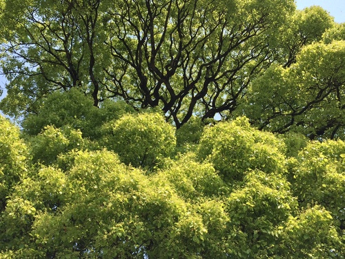 e0044657_115515100.jpg