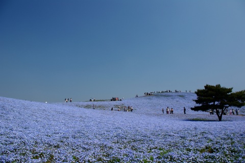 e0045768_22221527.jpg