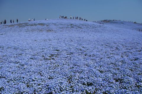 e0045768_2223730.jpg