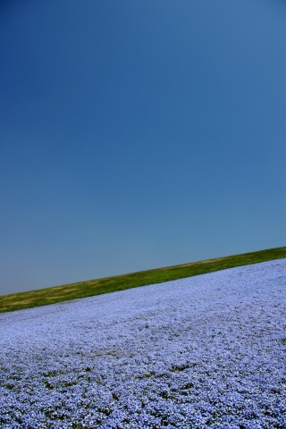 e0045768_22311421.jpg