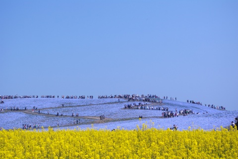 e0045768_22332845.jpg