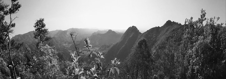 c0019376_19531020.jpg