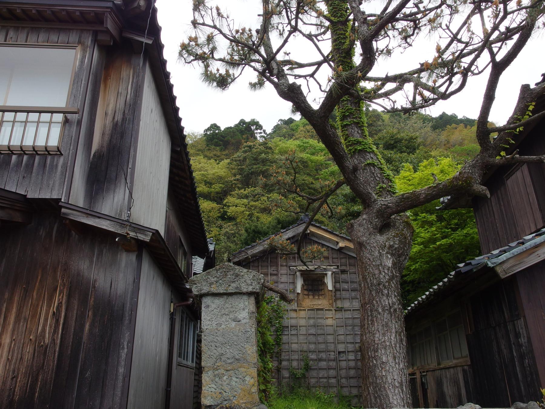 c0177576_2224010.jpg