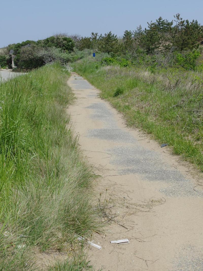 c0177576_23524819.jpg