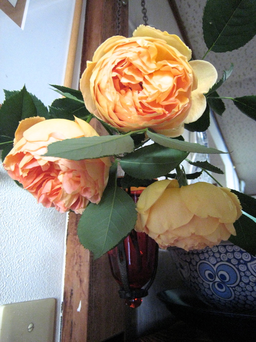 e0275478_16321347.jpg