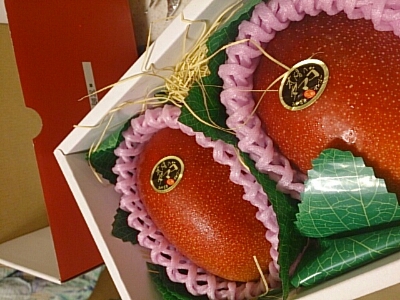 f0231785_2327971.jpg