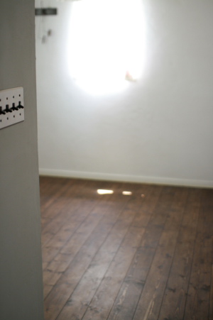 f0161494_5105431.jpg