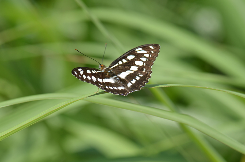a0277496_9343847.jpg