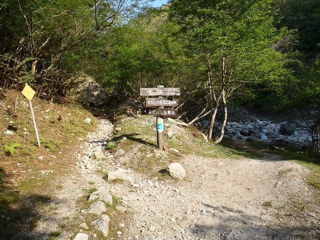 c0147398_1536316.jpg