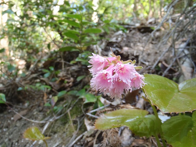 c0147398_15373014.jpg
