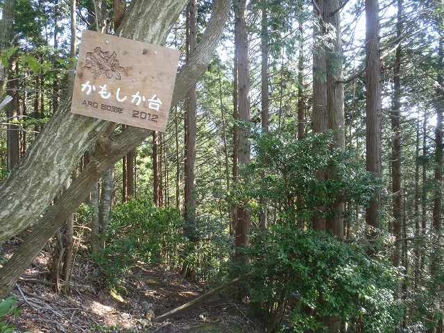 c0147398_15374291.jpg