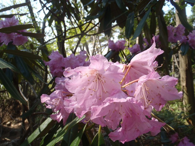 c0147398_15381451.jpg