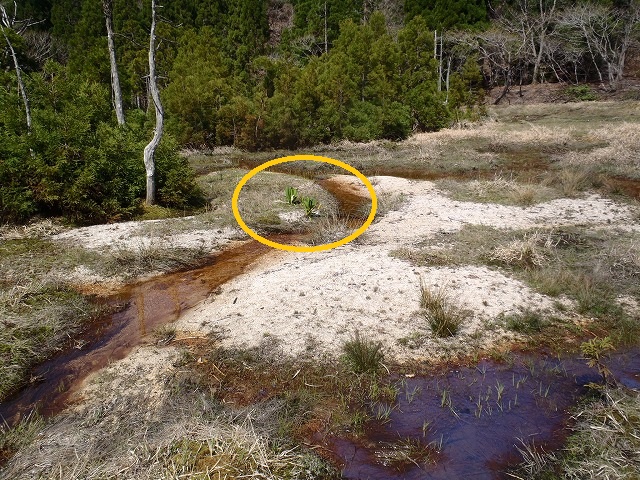 c0147398_15415651.jpg