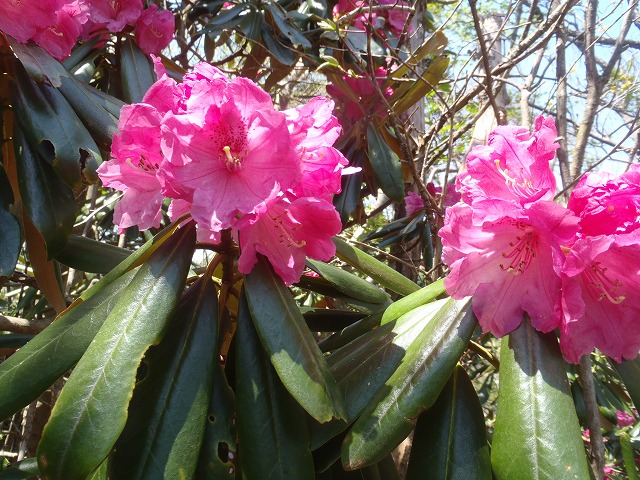c0147398_15471291.jpg
