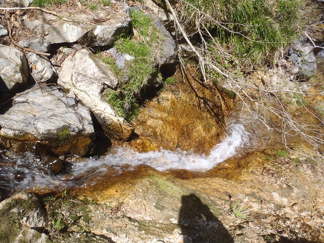 c0147398_15483964.jpg