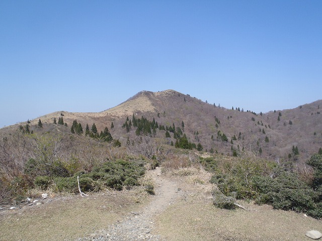 c0147398_15501999.jpg