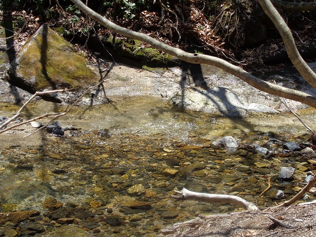 c0147398_15545625.jpg
