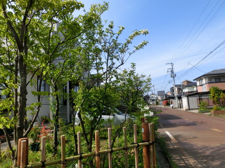 a0203003_20263872.jpg