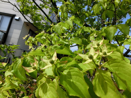 a0203003_2027850.jpg