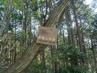 b0326303_00390365.jpg