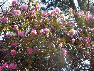 b0326303_00411432.jpg