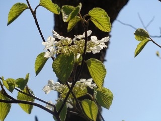 b0326303_00421627.jpg