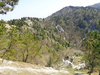 b0326303_00431655.jpg