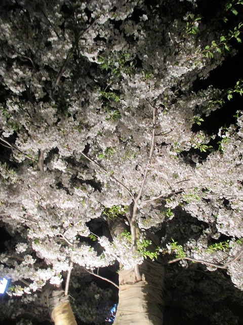 f0202703_121352100.jpg