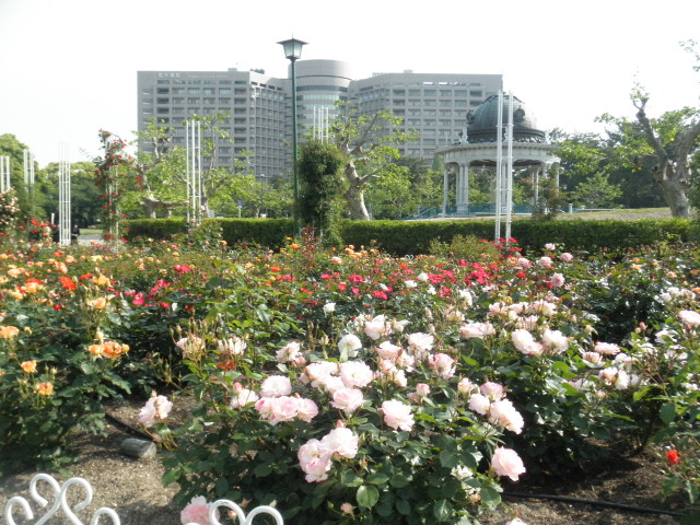 c0152507_553950.jpg
