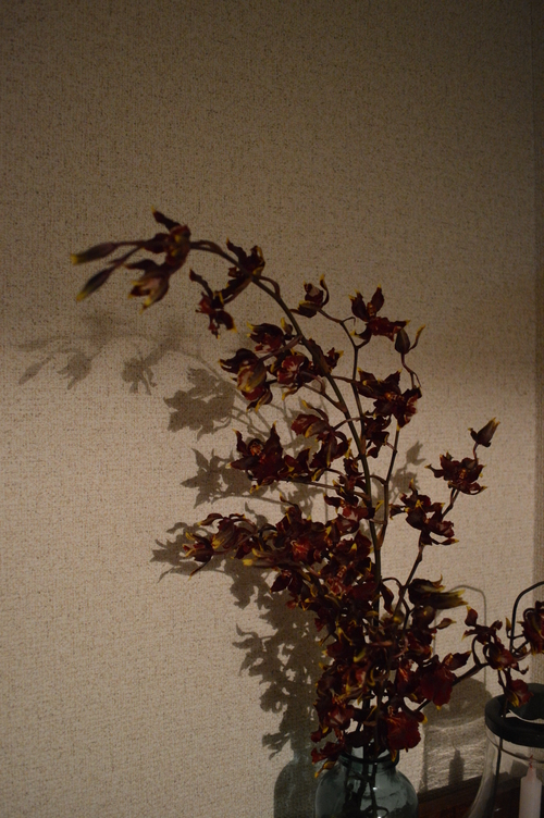 c0279611_22143435.jpg