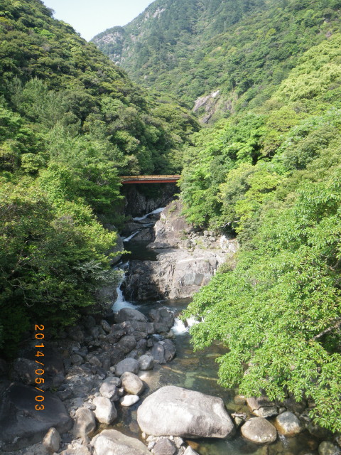 d0006512_063621.jpg