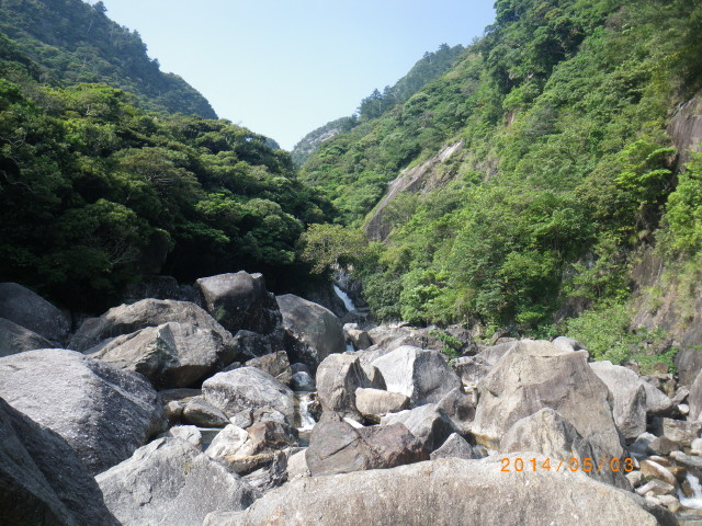 d0006512_07138.jpg