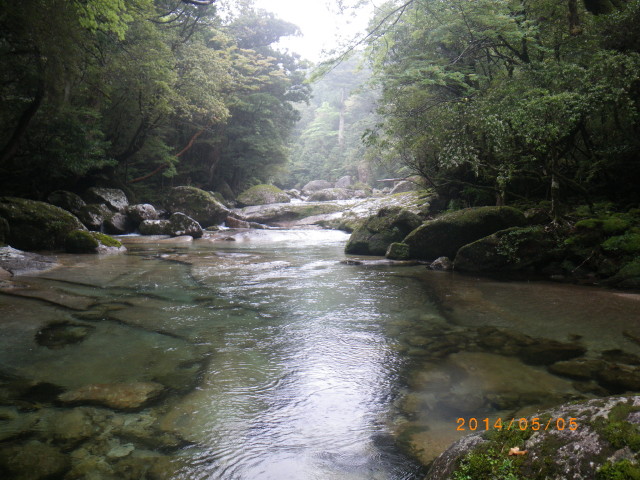 d0006512_22565772.jpg