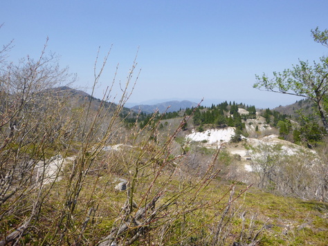 d0170615_642144.jpg