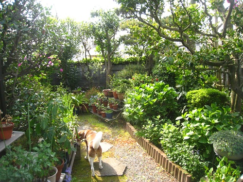 c0084117_22195716.jpg