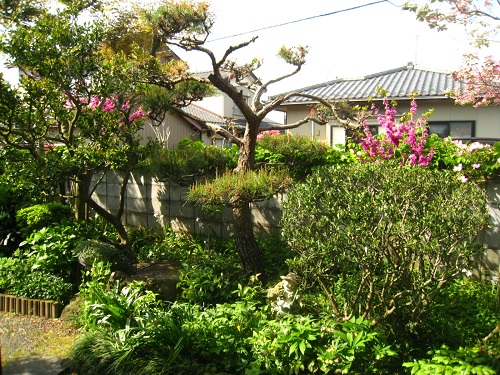 c0084117_2223155.jpg