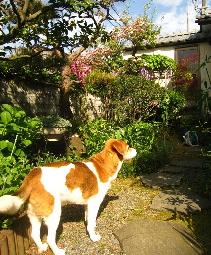 c0084117_22261081.jpg