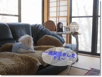 b0167519_16275763.gif