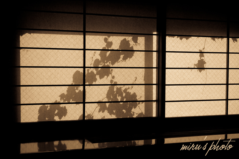 c0037519_151730.jpg
