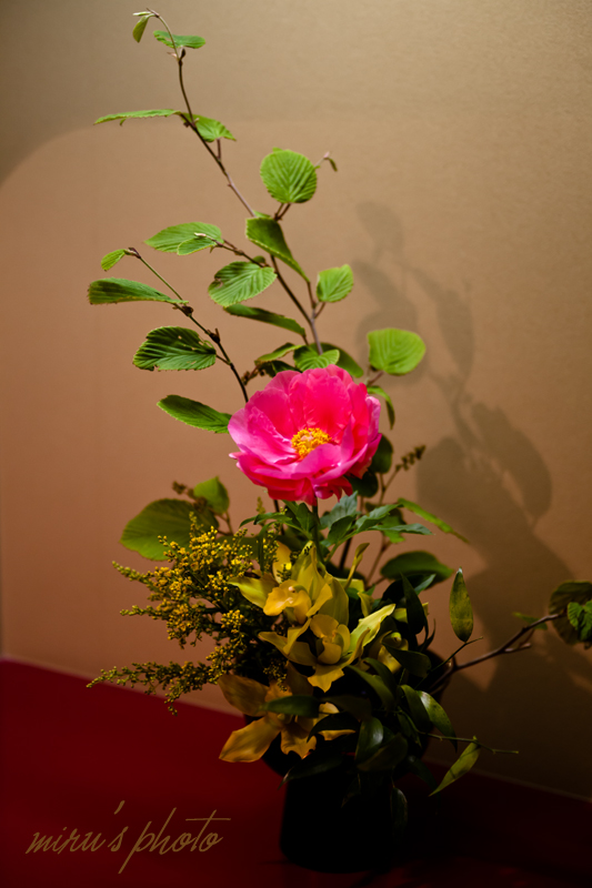 c0037519_153653.jpg