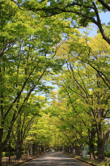 f0162319_01214066.jpg