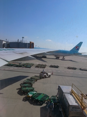 d0098022_1841331.jpg