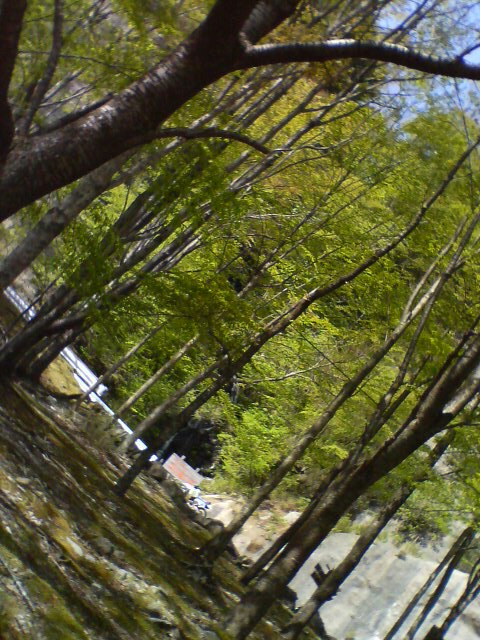 b0134233_17591959.jpg